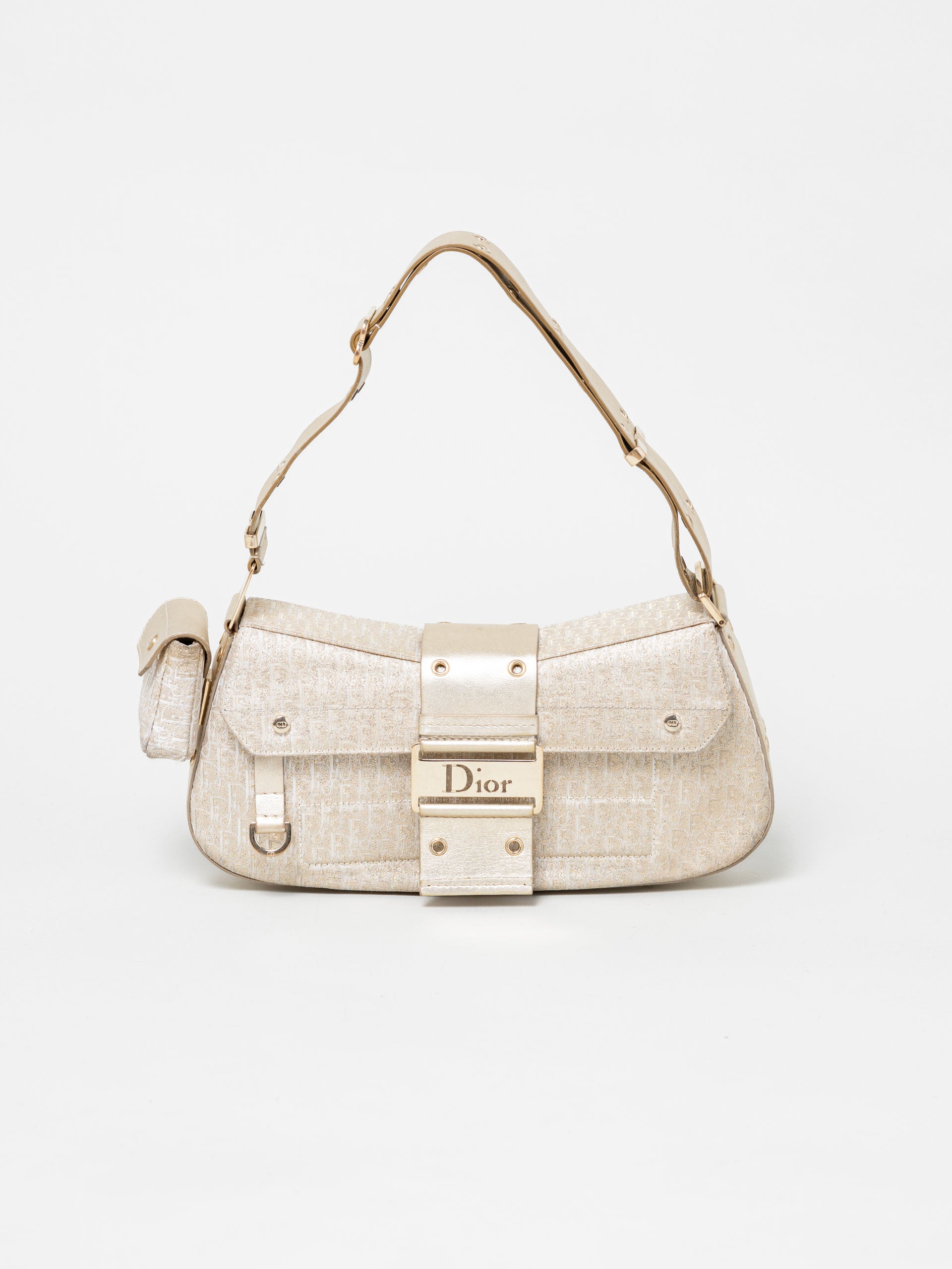 Dior trotter Columbus Gold bag