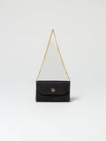 Dior Trotter Chain Shoulder Bag