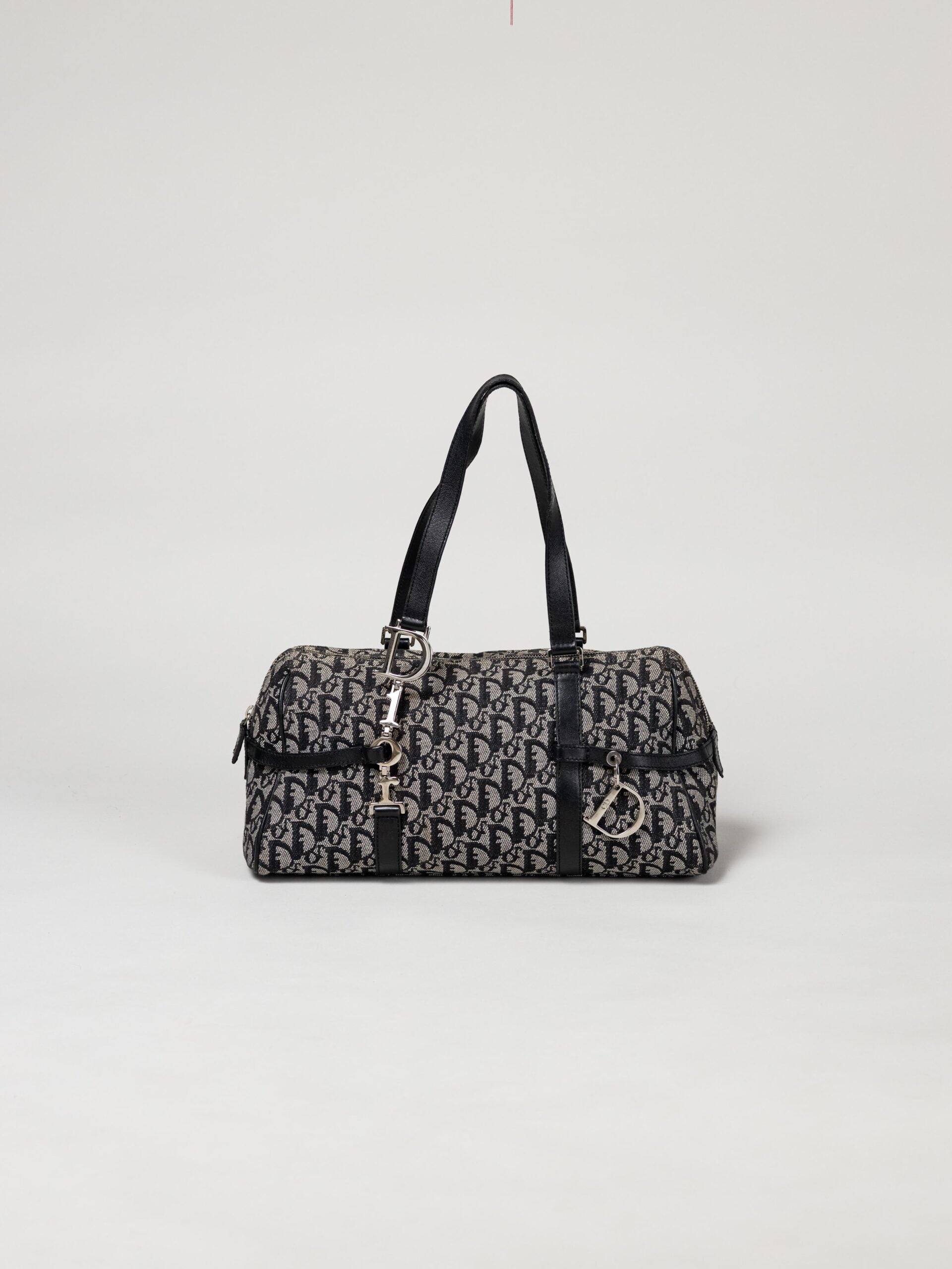 Dior Charms Trotter Shoulder Bag