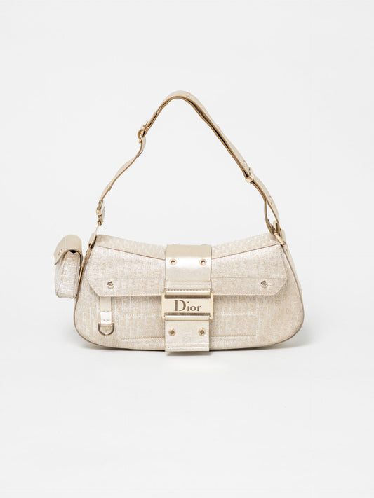 Dior trotter Columbus Gold bag