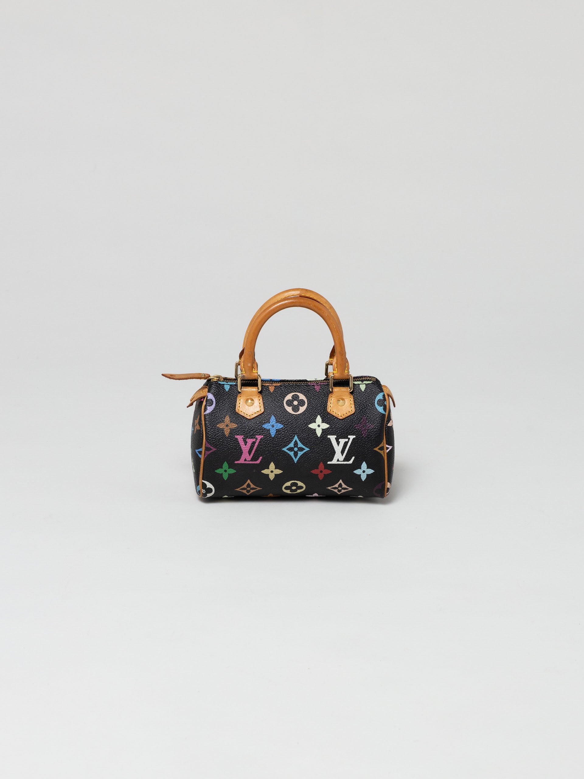 Louis Vuitton Multicolor Murakami Speedy Nano