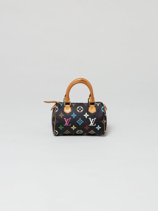 Louis Vuitton Multicolor Murakami Speedy Nano