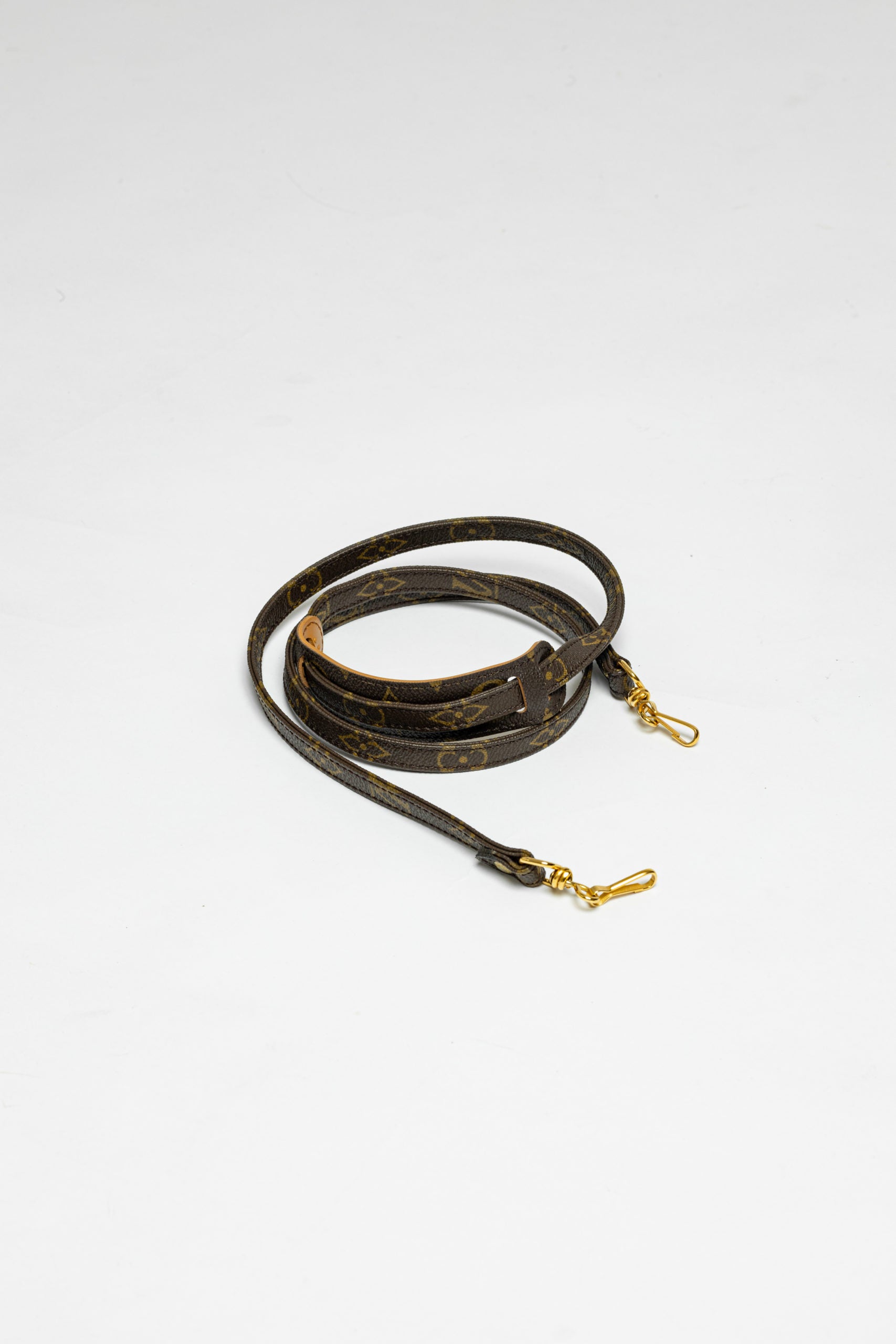Louis Vuitton Canvas Monogram Strap